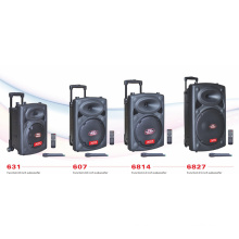 Trolley Loudspeaker Bluetooth USB Speaker (TL-080)